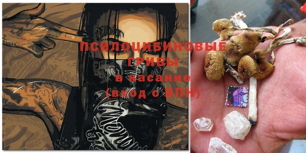 COCAINE Белокуриха