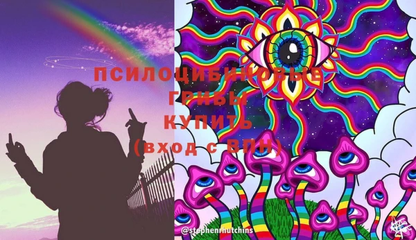 COCAINE Белокуриха
