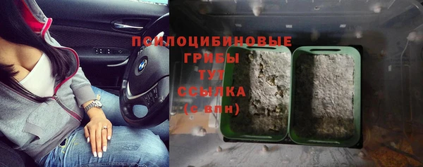 COCAINE Белокуриха