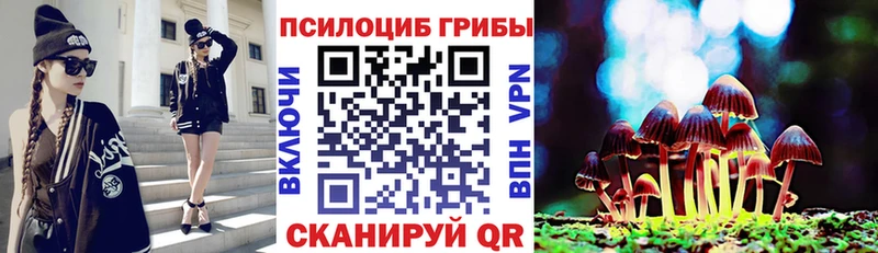 Псилоцибиновые грибы Psilocybe  где продают   Очёр 